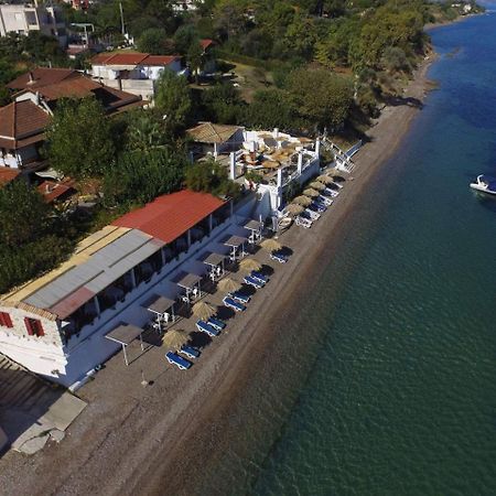Alissos Taradella Hotel מראה חיצוני תמונה