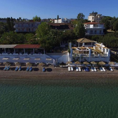 Alissos Taradella Hotel מראה חיצוני תמונה